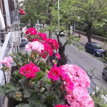 Palazzo Cosentino 住宿加早餐酒店 卡尔塔尼塞塔