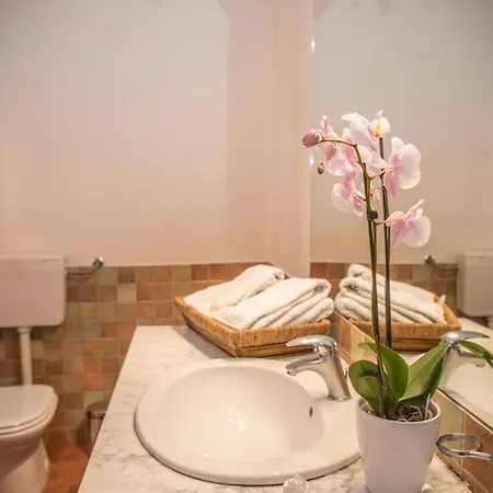 Palazzo Cosentino 住宿加早餐酒店 卡尔塔尼塞塔